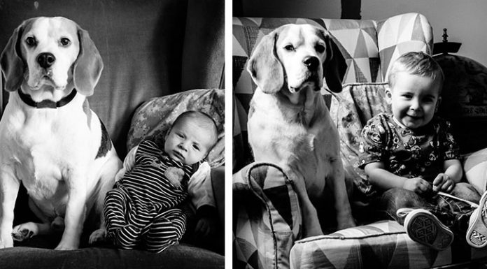 Pictures of My Son and Beagle on the Same Chair for 3 Years